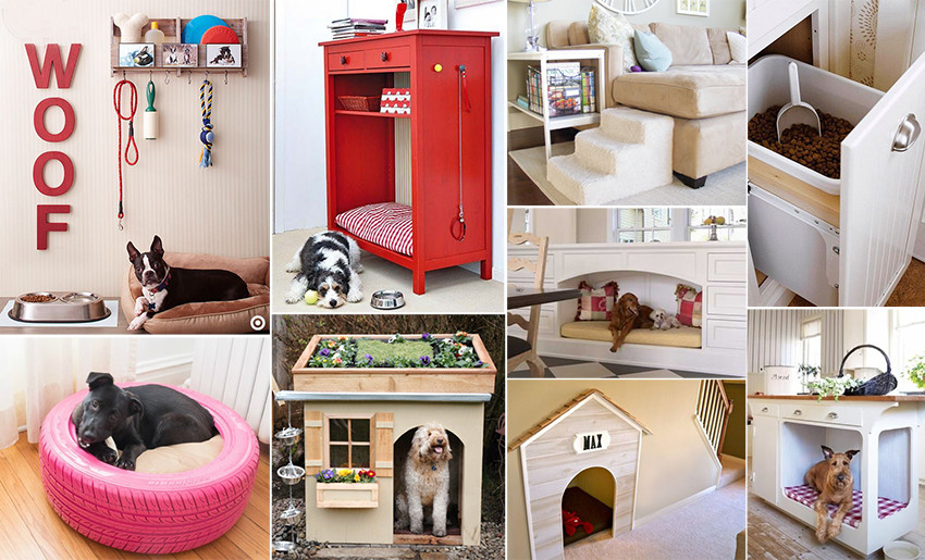 house_petfriendly_dogs